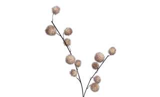 Gomphocarpus-Fruchtzweig ¦ creme ¦ Kunststoff, Metall Dekoration > Kunstblumen - Höffner