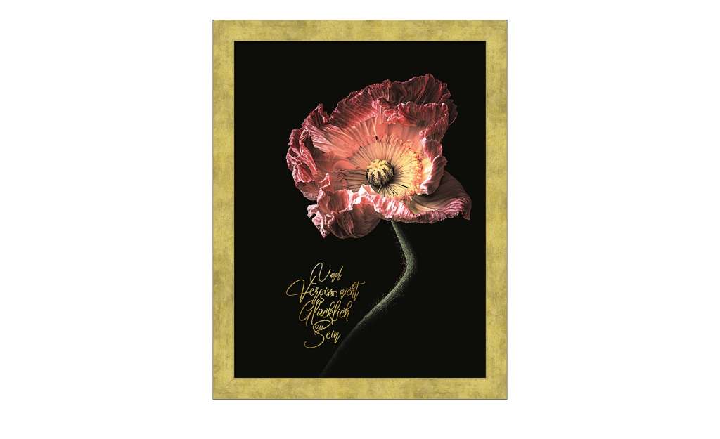 Gerahmtes Bild Scandic  Beautiful & Gold IV ¦ gold Dekoration > Bilder & Schilder - Höffner