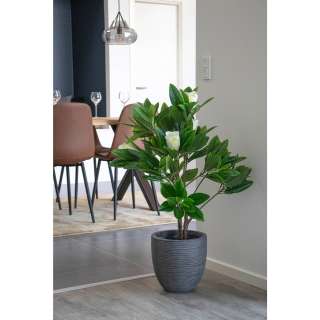 home24 Kunstpflanze Magnolia