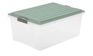 Rotho Aufbewahrungsbox mit Deckel ¦ grün ¦ Kunststoff Aufbewahrung > Aufbewahrungsboxen > sonstige Aufbewahrungsmittel - Höffner