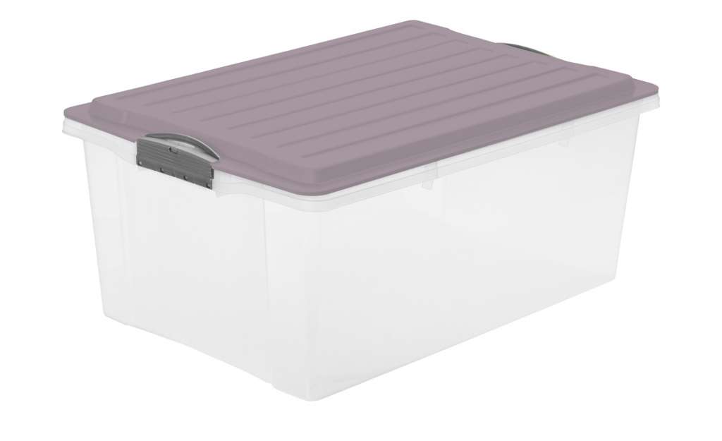 Rotho Aufbewahrungsbox mit Deckel ¦ lila/violett ¦ Kunststoff Aufbewahrung > Aufbewahrungsboxen > sonstige Aufbewahrungsmittel - Höffner