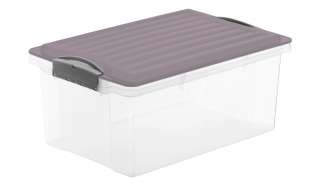 Rotho Aufbewahrungsbox mit Deckel ¦ lila/violett ¦ Kunststoff Aufbewahrung > Aufbewahrungsboxen > sonstige Aufbewahrungsmittel - Höffner