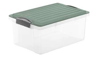 Rotho Aufbewahrungsbox mit Deckel ¦ grün ¦ Kunststoff Aufbewahrung > Aufbewahrungsboxen > sonstige Aufbewahrungsmittel - Höffner