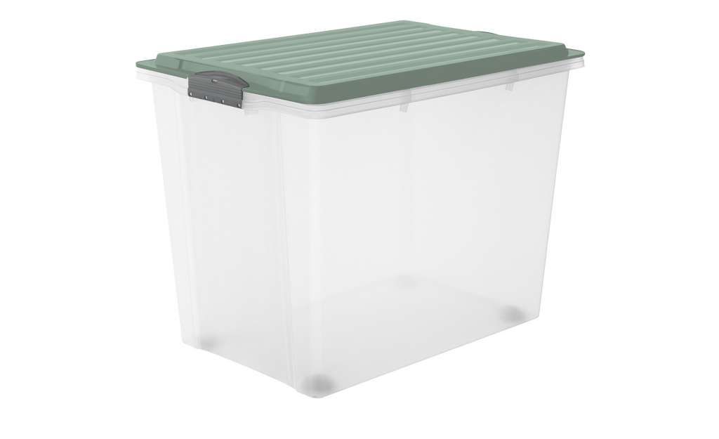 Rotho Aufbewahrungsbox mit Deckel ¦ grün ¦ Kunststoff Aufbewahrung > Aufbewahrungsboxen > sonstige Aufbewahrungsmittel - Höffner