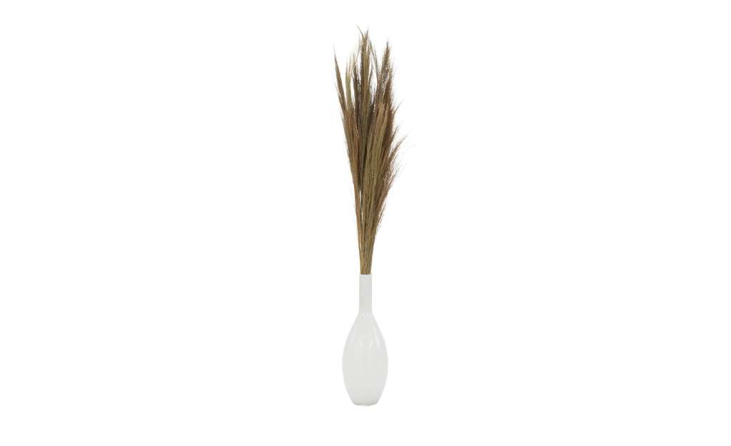 Besengrasbüschel ¦ braun ¦ NaturprodukteØ: 9 Dekoration > Kunstblumen - Höffner