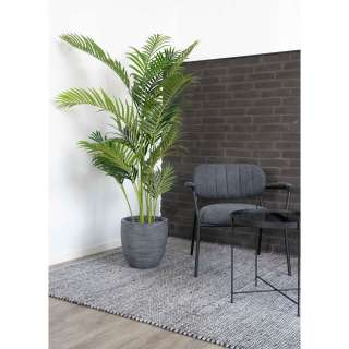 home24 Dekopalme Areca