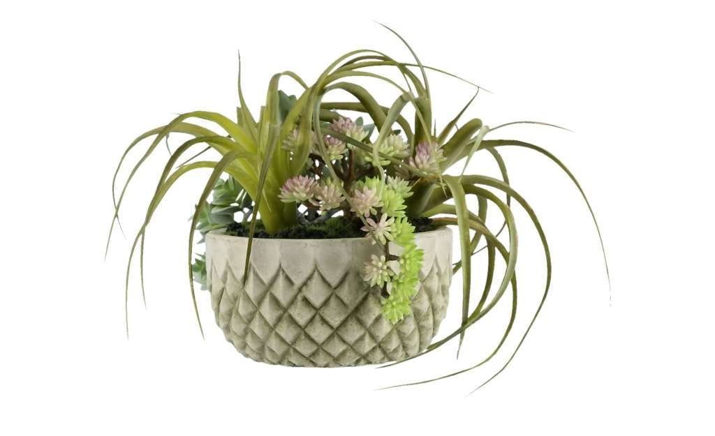 Sukkulentenmix im Zementtopf ¦ grau ¦ Zement, Kunststoff Dekoration > Kunstblumen - Höffner