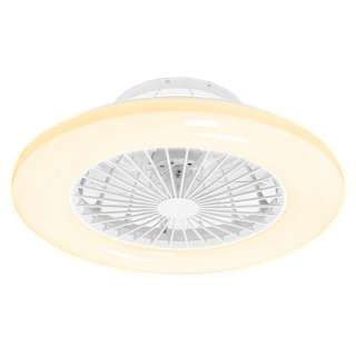 home24 LED-Deckenventilator Lani