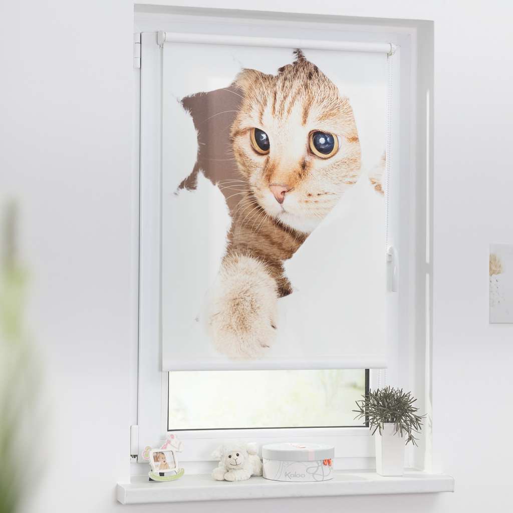 home24 Klemmfix Rollo Katze