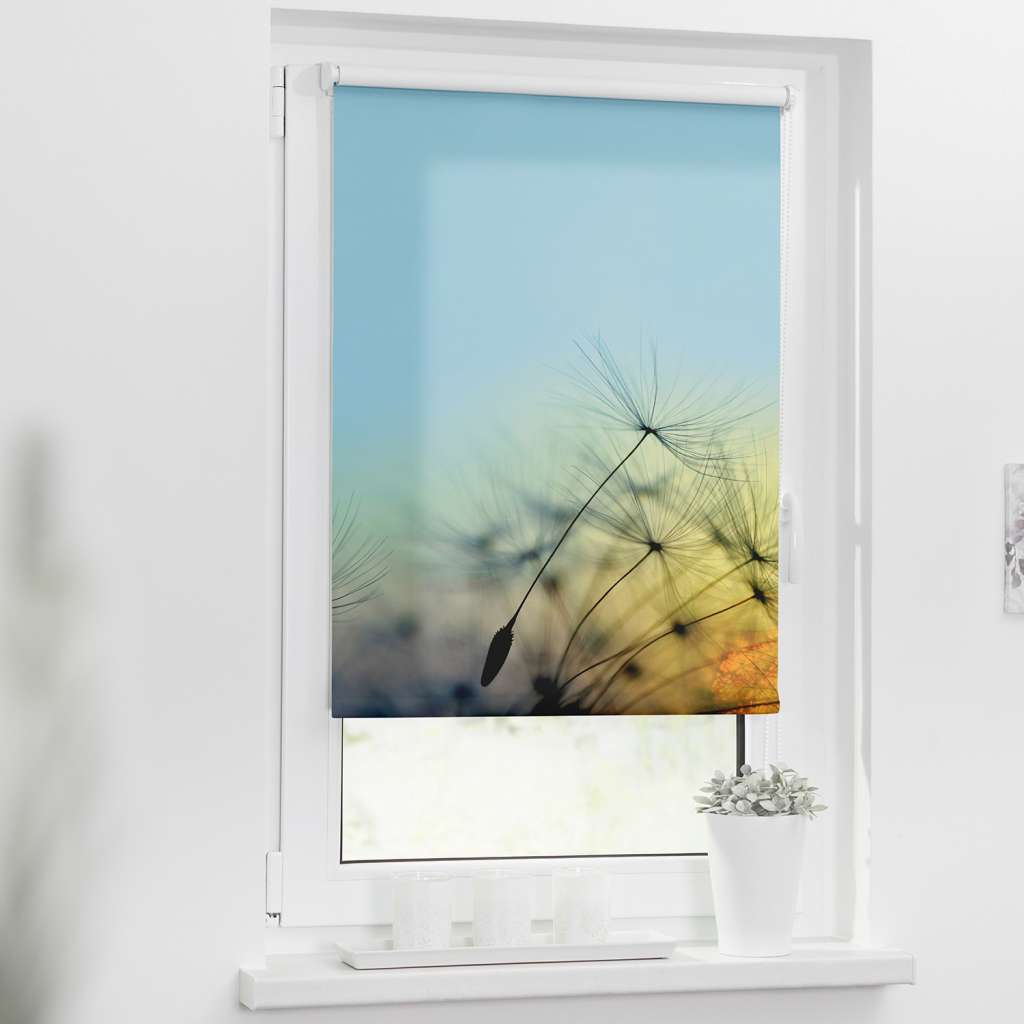 home24 Klemmfix Verdunklungsrollo Pusteblume