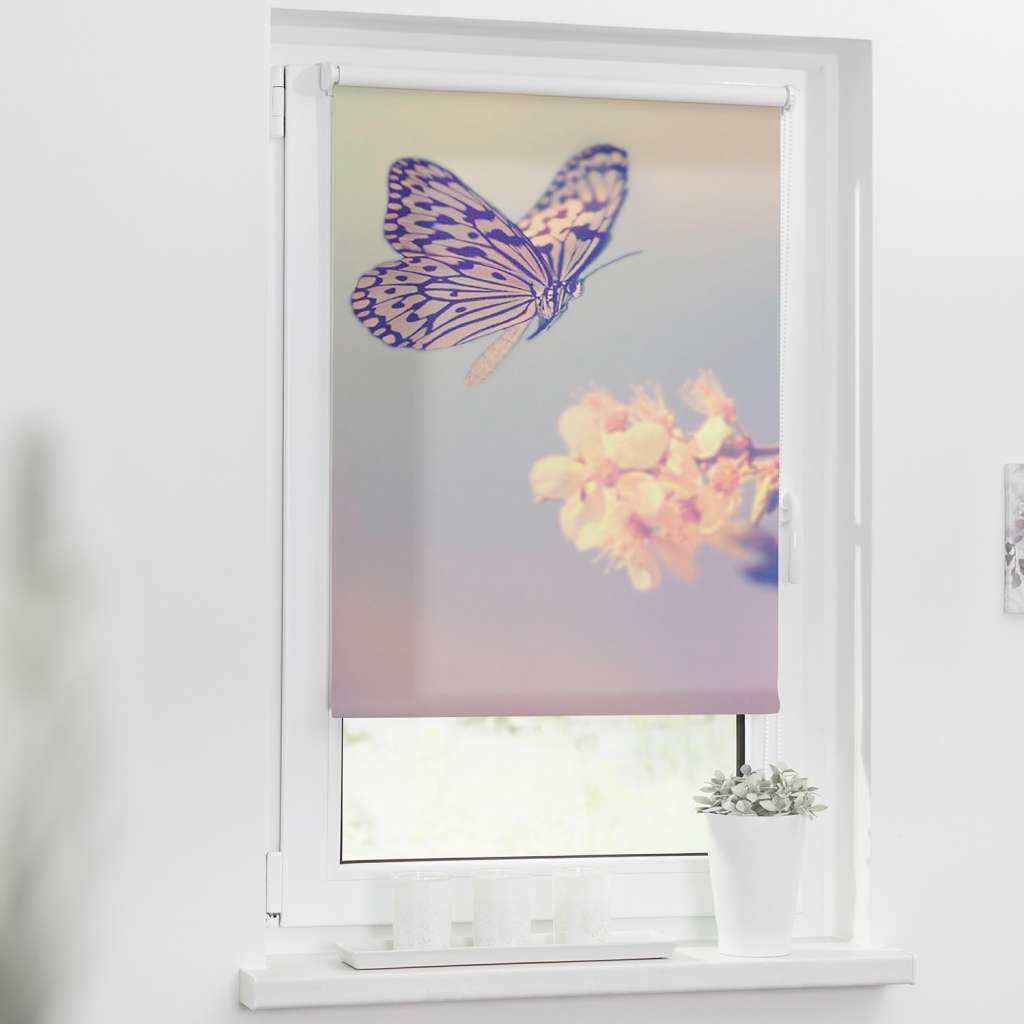 home24 Klemmfix Verdunklungsrollo Schmetterling