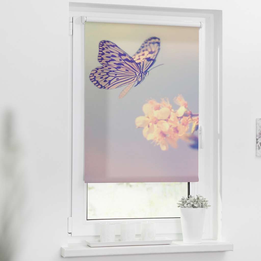 home24 Klemmfix Verdunklungsrollo Schmetterling