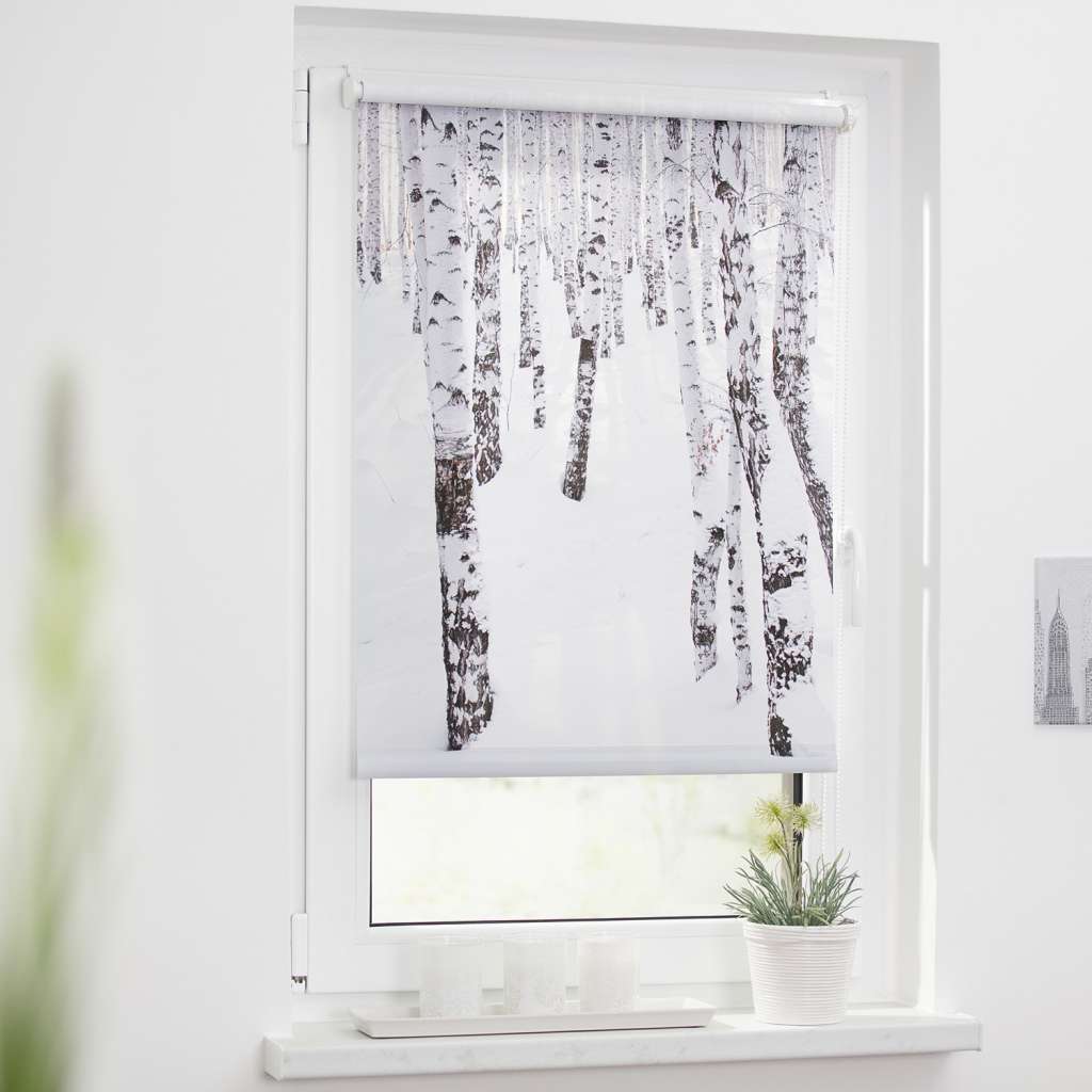home24 Klemmfix Verdunklungsrollo Birkenwald