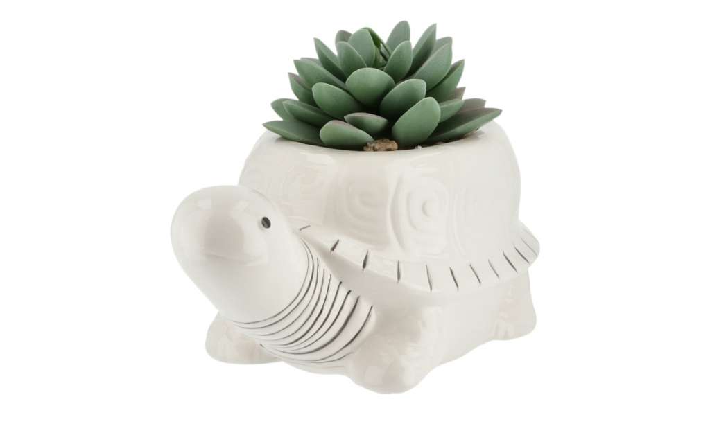 Sukkulente im Topf  Schildkröte ¦ weiß ¦ Kunststoff, Steinzeug Dekoration > Kunstblumen - Höffner