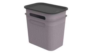 Rotho Aufbewahrungsbox, Set 4 tlg. ¦ lila/violett ¦ Polypropylen Aufbewahrung > Aufbewahrungsboxen > sonstige Aufbewahrungsmittel - Höffner