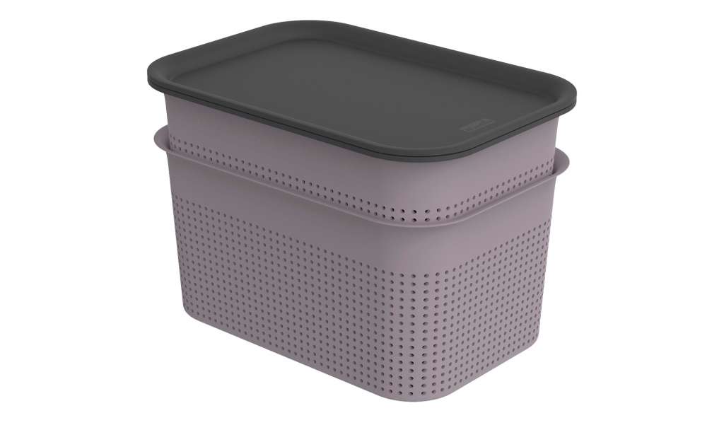 Rotho Aufbewahrungsbox, Set 4 tlg. ¦ lila/violett ¦ Polypropylen Aufbewahrung > Aufbewahrungsboxen > sonstige Aufbewahrungsmittel - Höffner