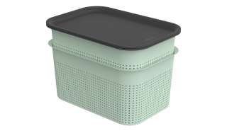 Rotho Aufbewahrungsbox, Set 4 tlg. ¦ grün ¦ Polypropylen Aufbewahrung > Aufbewahrungsboxen > sonstige Aufbewahrungsmittel - Höffner