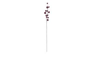 Gomphocarpus-Fruchtzweig ¦ lila/violett ¦ Metall, Kunststoff Dekoration > Kunstblumen - Höffner