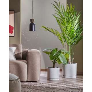 home24 Pflanzkübel Kwanti (2-teilig)