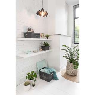 home24 Aufbewahrungsbox Infinity VI (2-teilig)