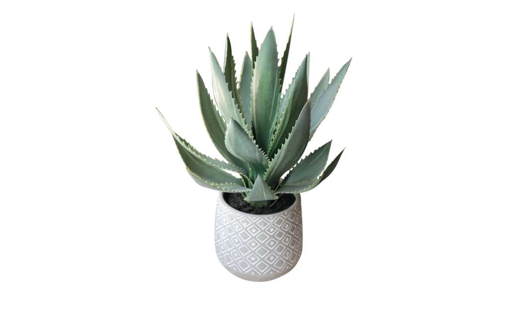 Aloe getopft ¦ grün ¦ Keramik, Kunststoff Dekoration > Kunstblumen - Höffner