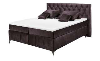 meinBett Boxspringbett  Pembroke ¦ lila/violett Betten > Boxspringbetten > Boxspringbetten 180x200 - Höffner