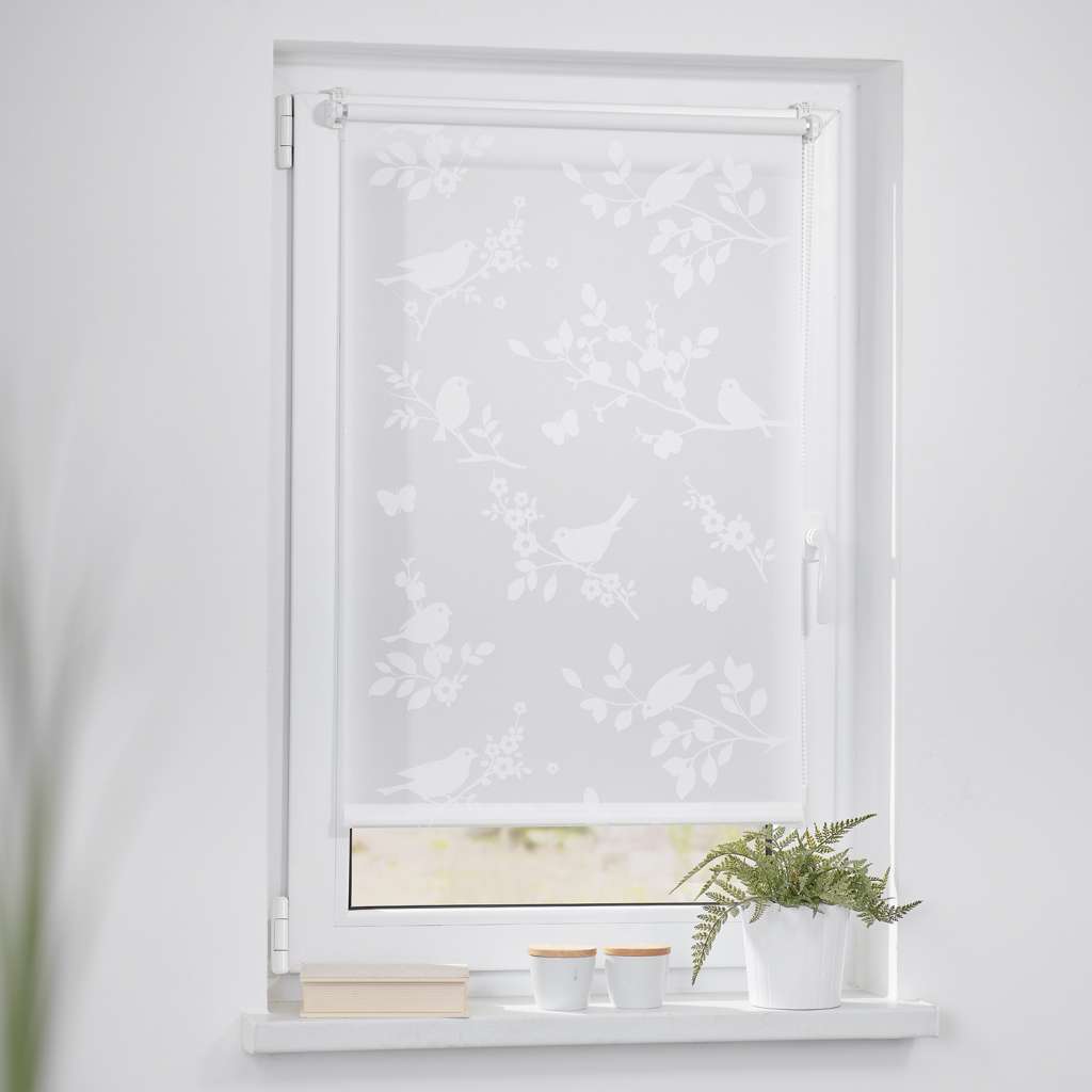 home24 Klemmfix Rollo Vogel