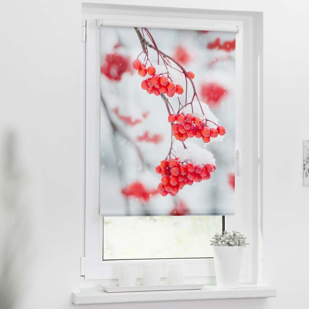 home24 Klemmfix-Rollo Vogelbeeren