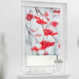 home24 Klemmfix-Rollo Vogelbeeren