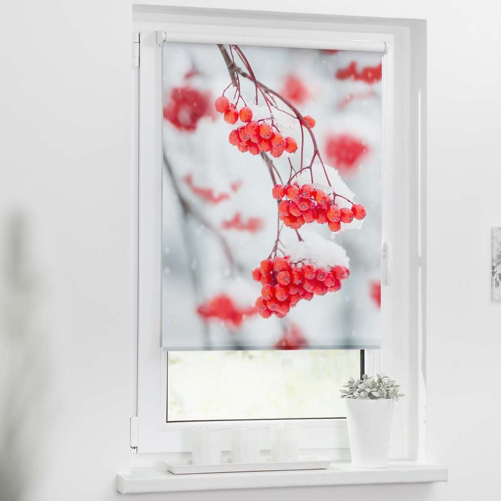 home24 Klemmfix-Rollo Vogelbeeren