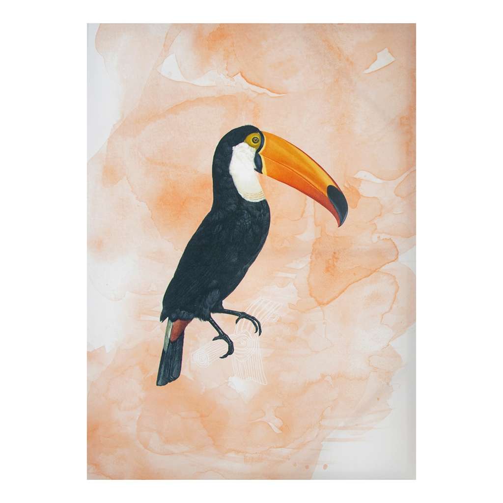 home24 Leinwandbild Tukan