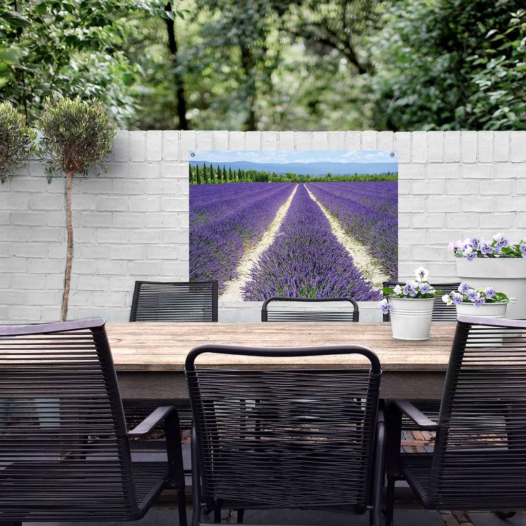home24 Poster Lavendel