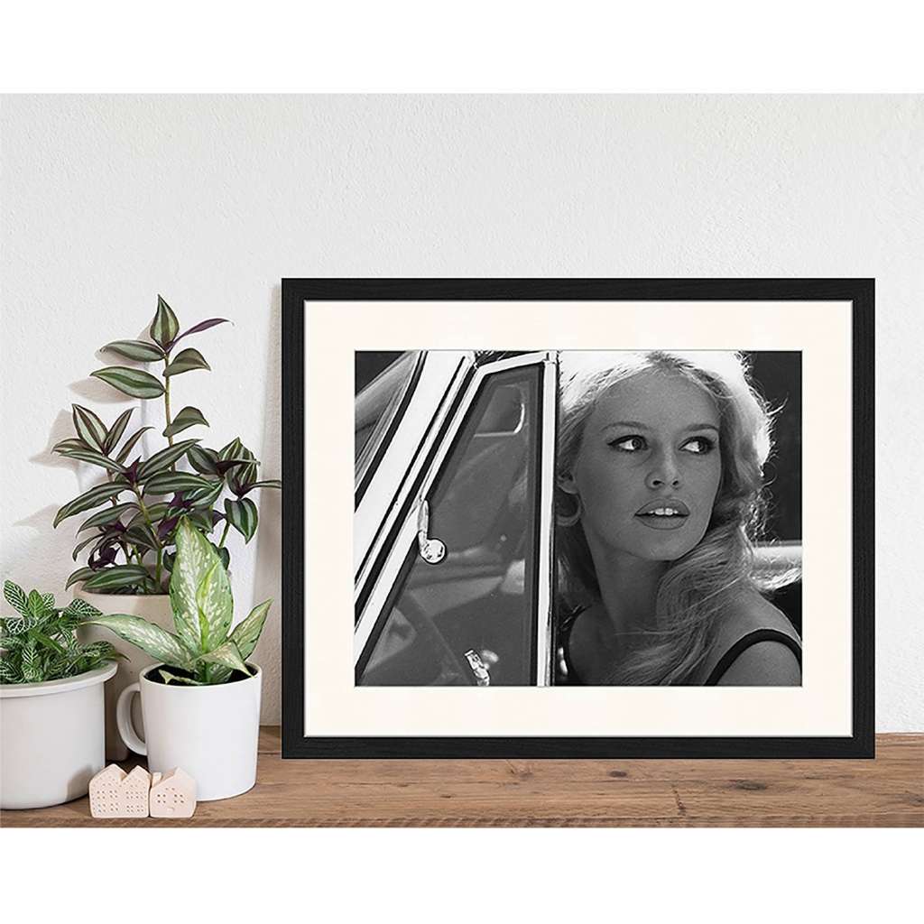 home24 Bild Brigitte Bardot driving