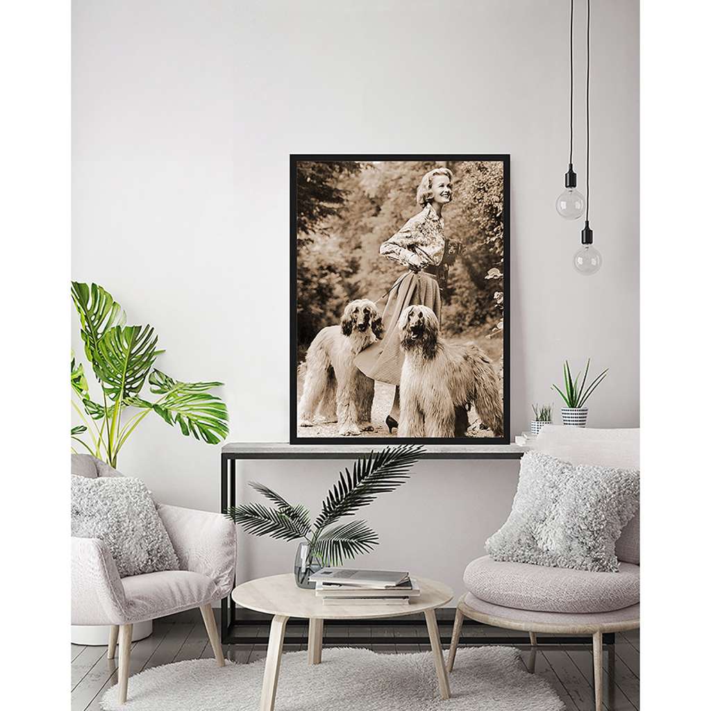 home24 Bild With the dogs