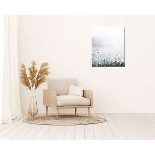 home24 Bild Alpine Meadow