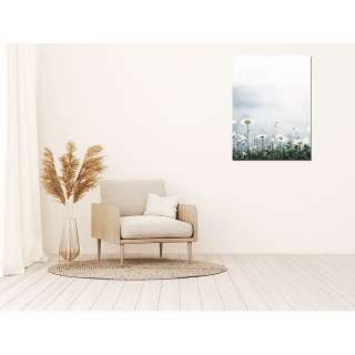 home24 Bild Alpine Meadow