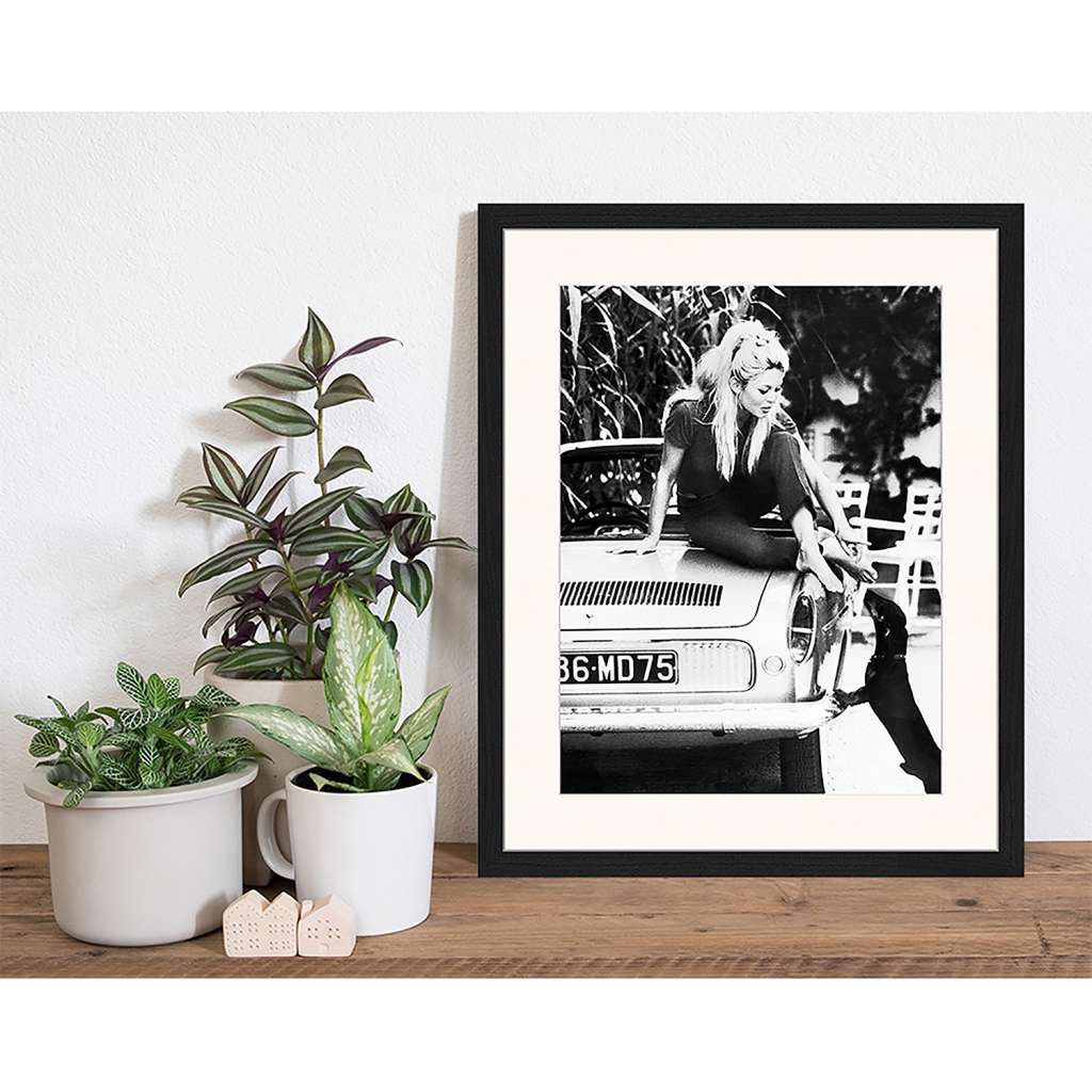 home24 Bild Brigitte Bardot I