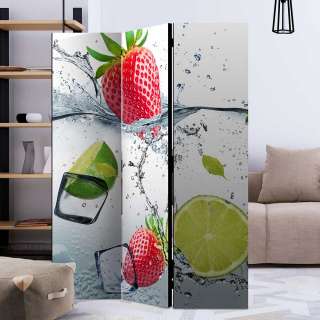 Paravent Stellwand in Bunt Obst Motiv