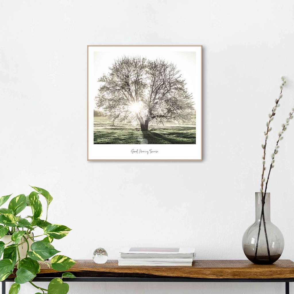 home24 Gerahmtes Bild Morgensonne Baum