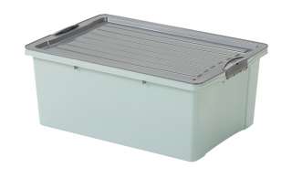 Rotho Aufbewahrungsbox mit Deckel ¦ grün Aufbewahrung > Aufbewahrungsboxen > sonstige Aufbewahrungsmittel - Höffner