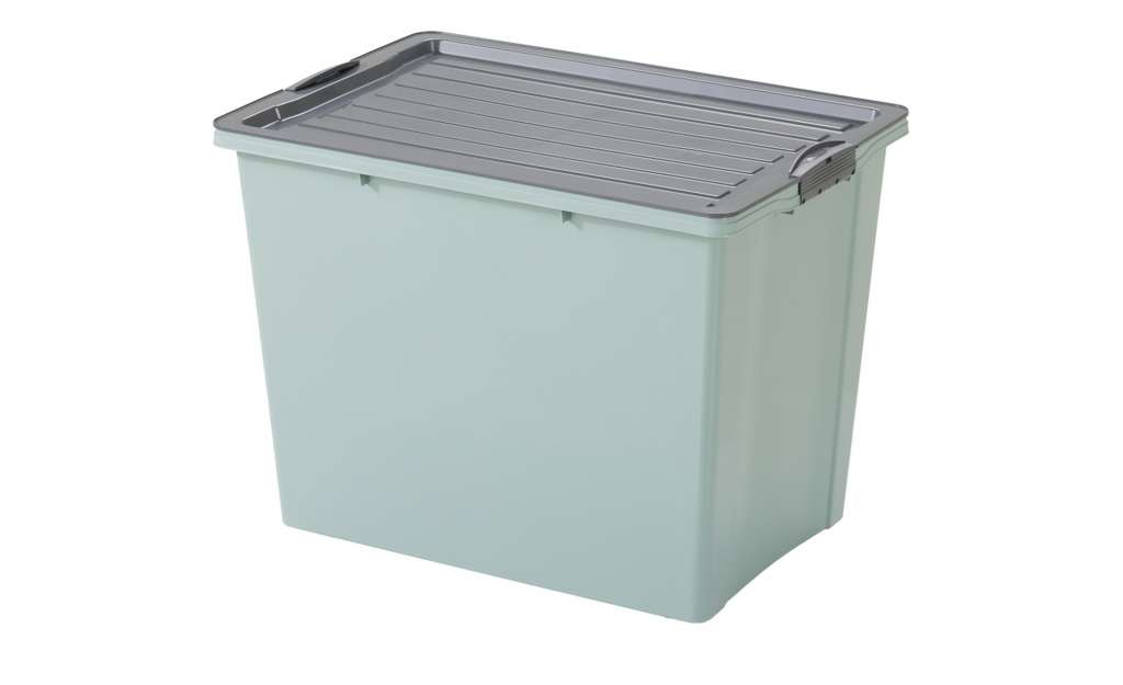 Rotho Aufbewahrungsbox mit Deckel ¦ grün Aufbewahrung > Aufbewahrungsboxen > sonstige Aufbewahrungsmittel - Höffner