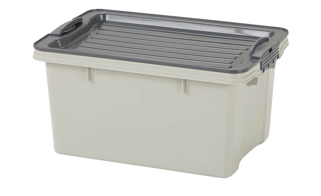 Rotho Aufbewahrungsbox mit Deckel ¦ beige ¦ Polypropylen Aufbewahrung > Aufbewahrungsboxen > sonstige Aufbewahrungsmittel - Höffner