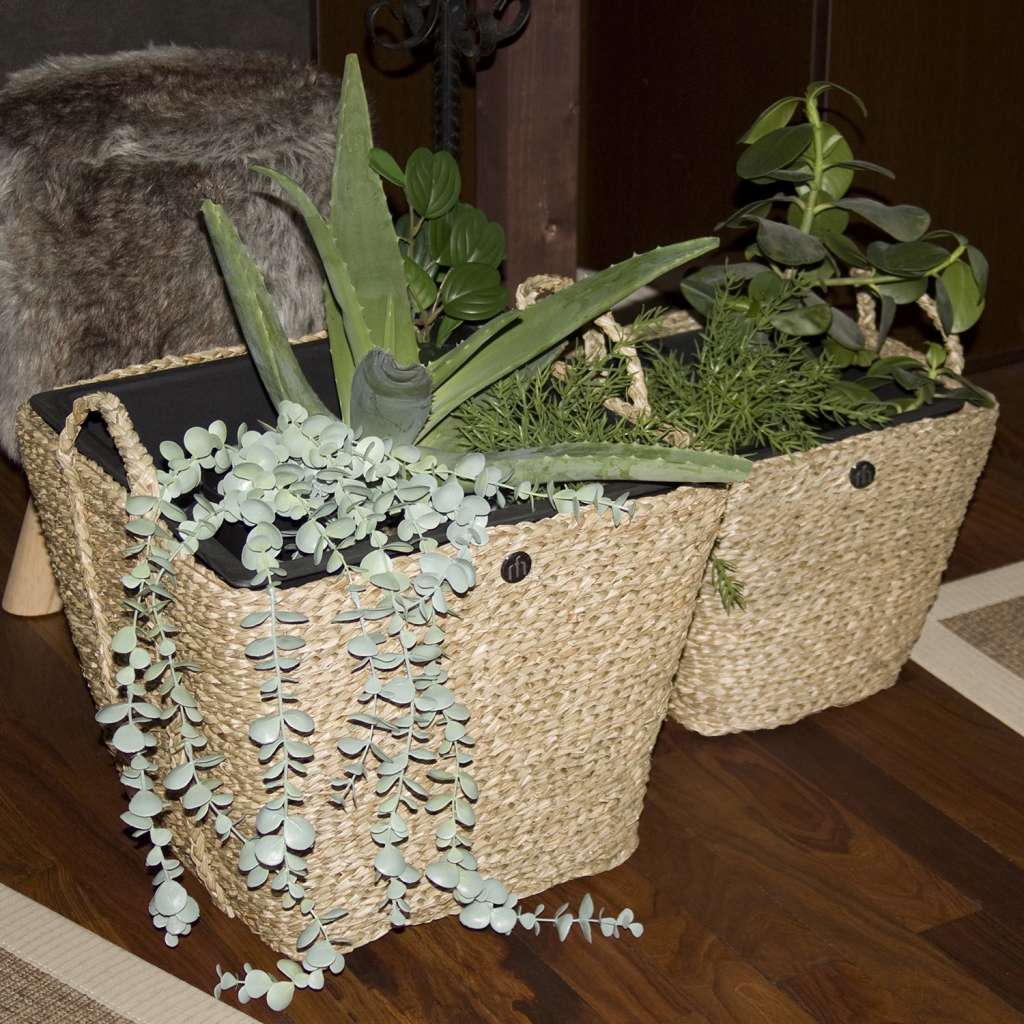 home24 Pflanzgefäß Manapad