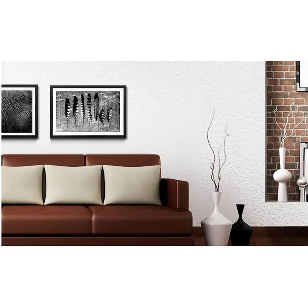home24 Bild Monochrome Feathers