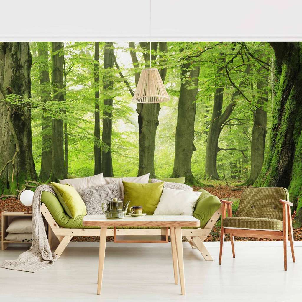 home24 Vliestapete Mighty Beech Trees