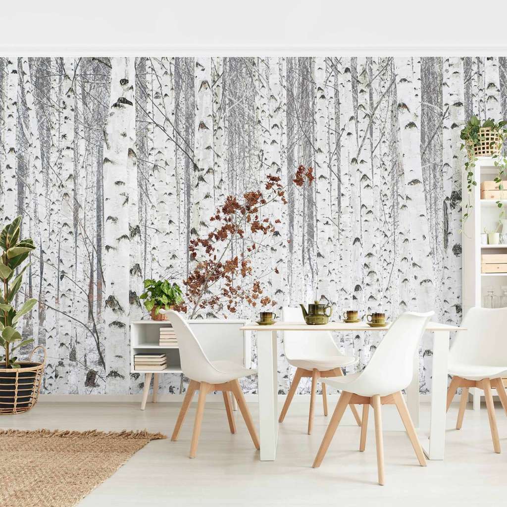 home24 Vliestapete Birken im Herbst