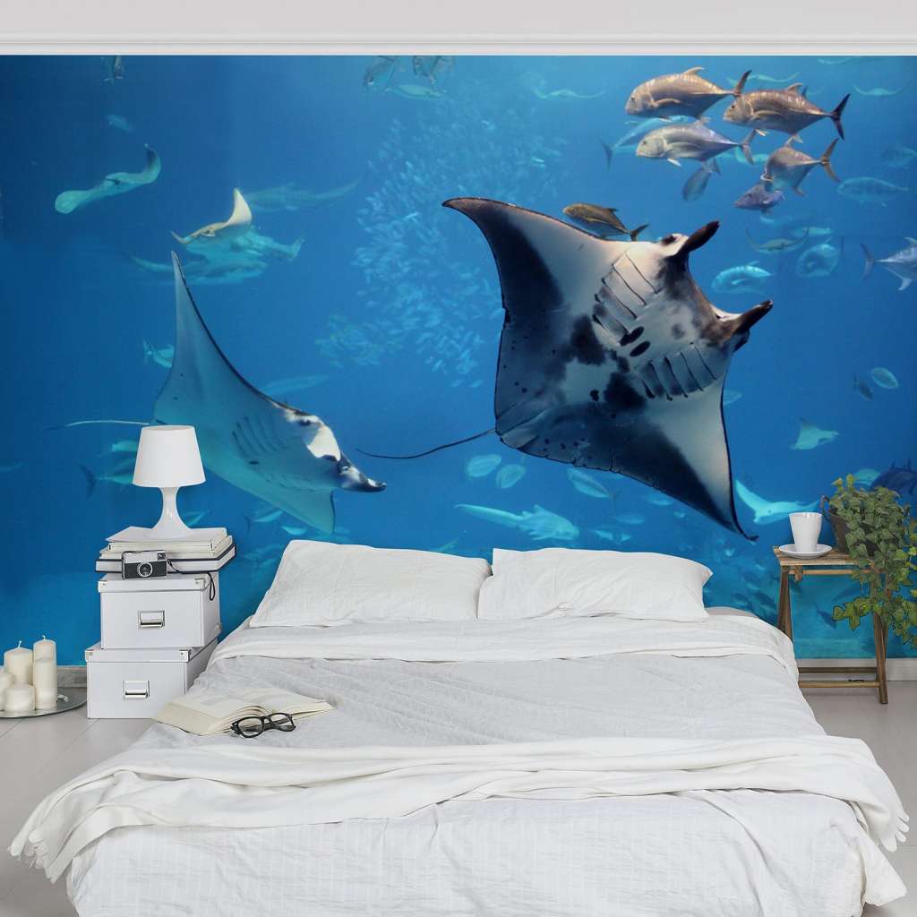 home24 Vliestapete Manta Ray