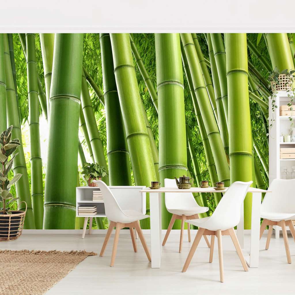 home24 Vliestapete Bamboo Trees