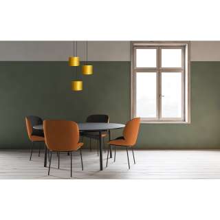 home24 Pendelleuchte Venus D VI