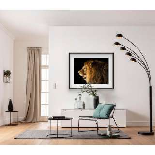 home24 Wandbild Barbary Lion